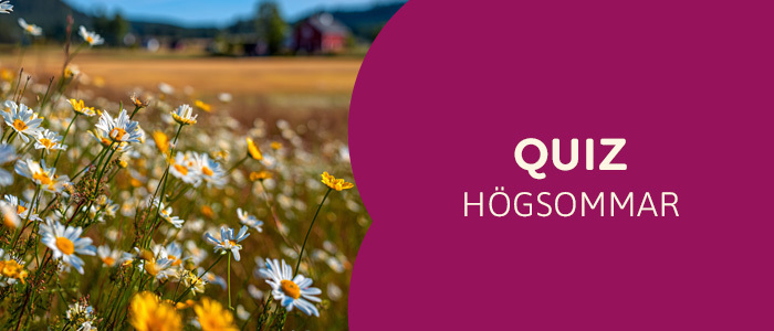 Högsommarquiz