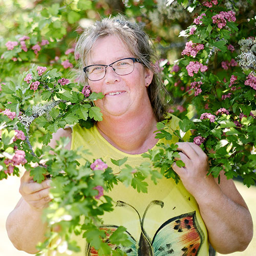 Hillevi Karlsson bland blommor och växter en solig dag.