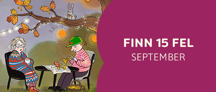 Finn 15 fel