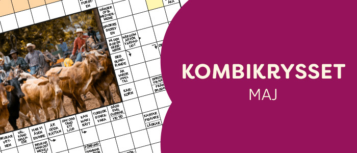 Kombikrysset