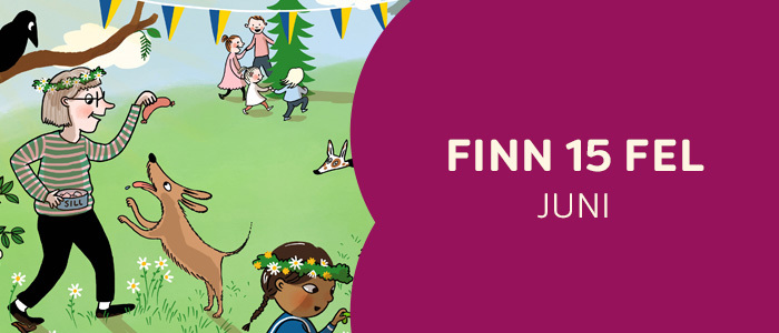 Finn 15 fel