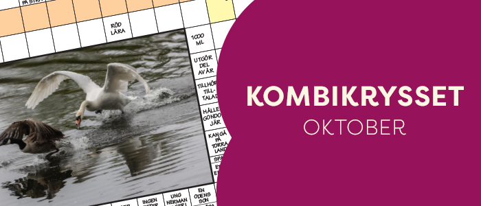 Kombikrysset